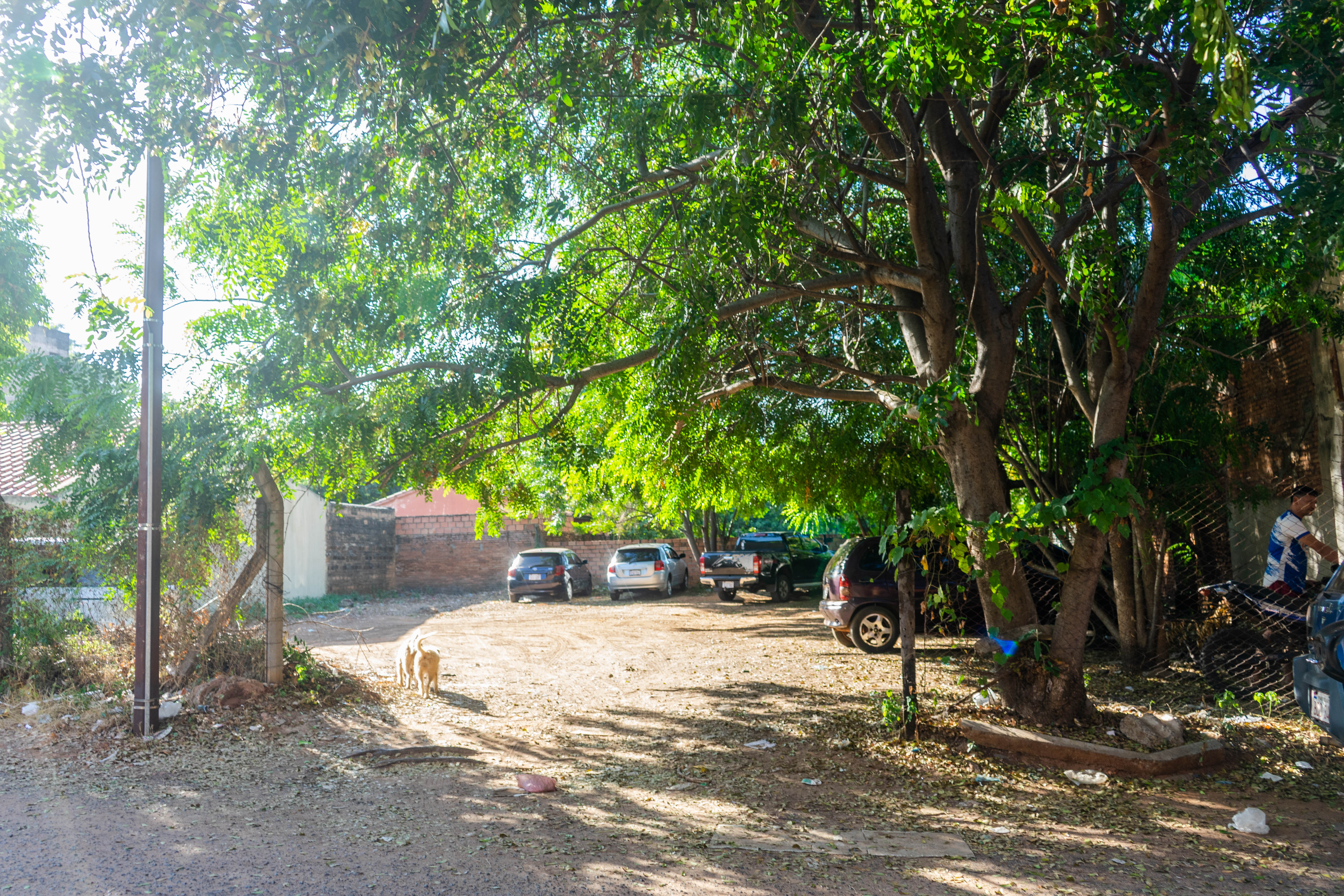 Imagen de la publicación