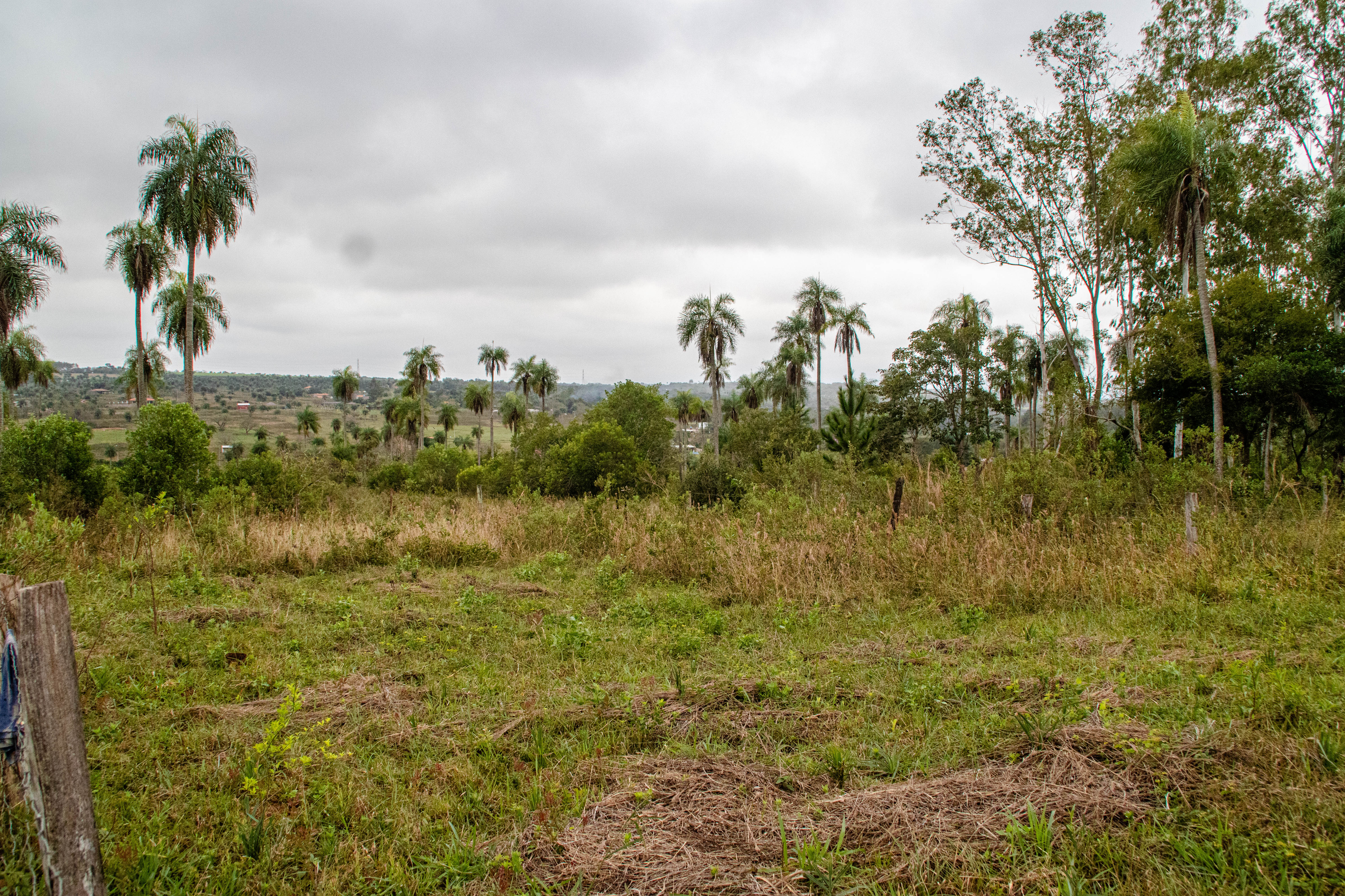 Imagen de la publicación
