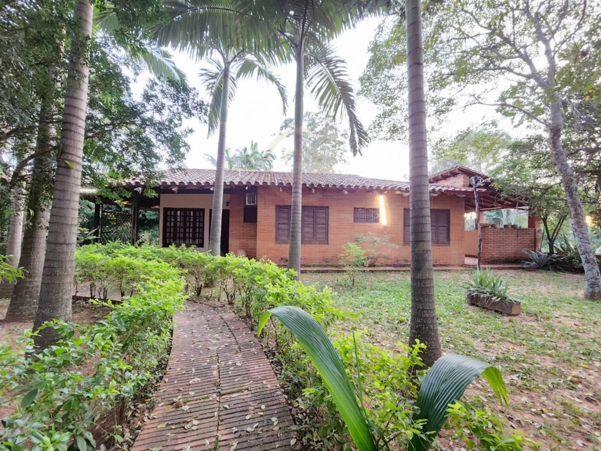 Imagen de la publicación